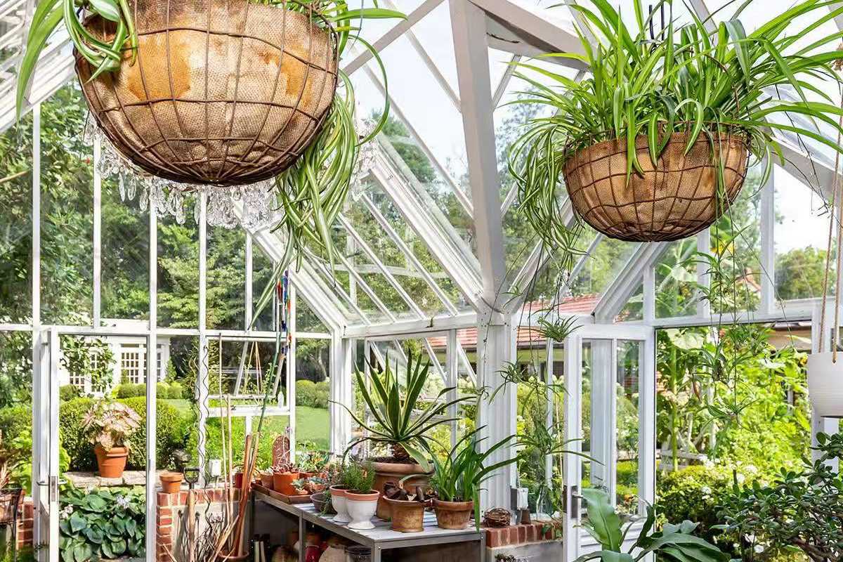 Garden Glass Greenhouse Ysgh 196